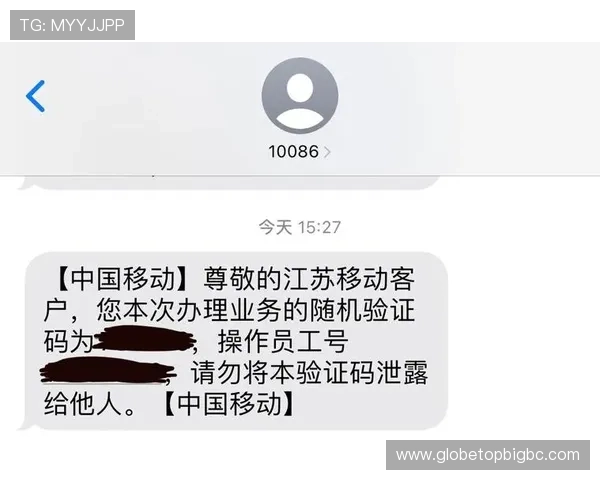 欧博官网登录入口验证码常见错误类型及对应的解决措施
